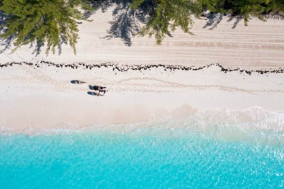 Carnival Cruises - Half Moon Cay 7, Credit. Boldman Media.jpg